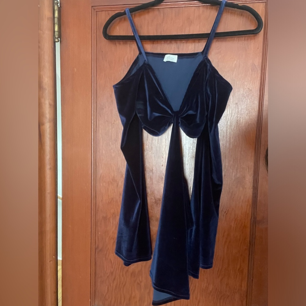 Blue velvet dress